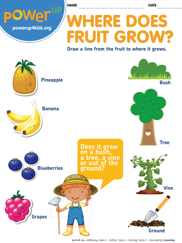 Where does fruit grow healthpartners